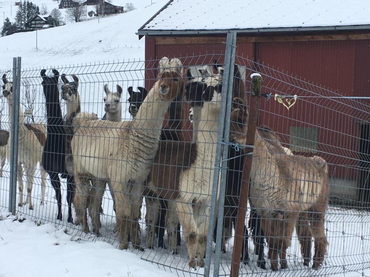 Haus Am Bach In Toggenburg अपार्टमेंट *