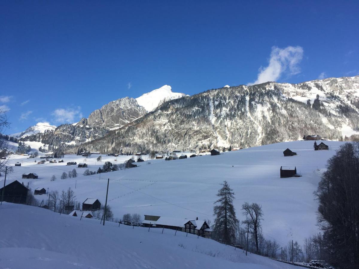 अपार्टमेंट Haus Am Bach In Toggenburg *