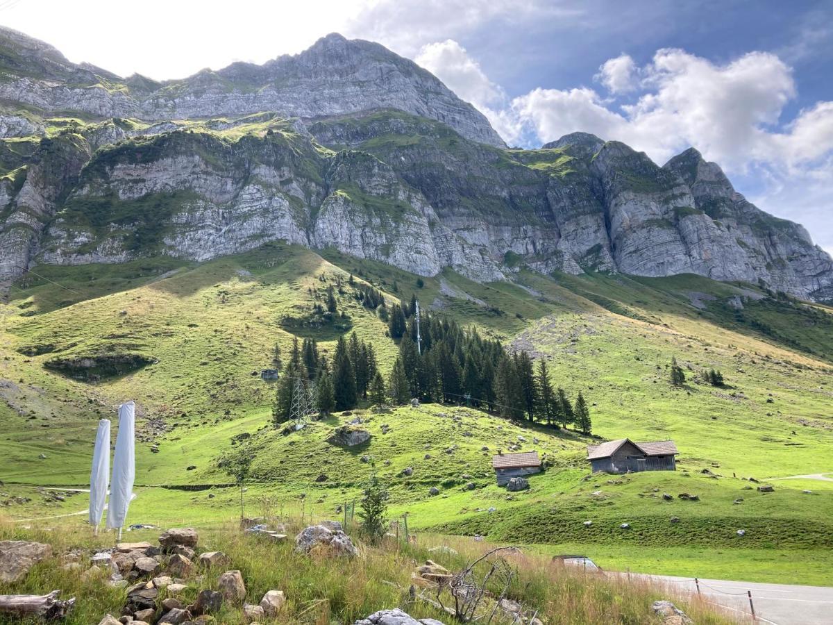 Haus Am Bach In Toggenburg अपार्टमेंट Wildhaus