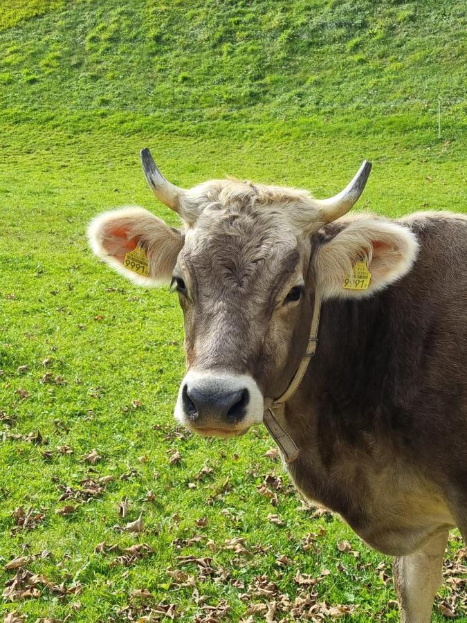 अपार्टमेंट Haus Am Bach In Toggenburg *