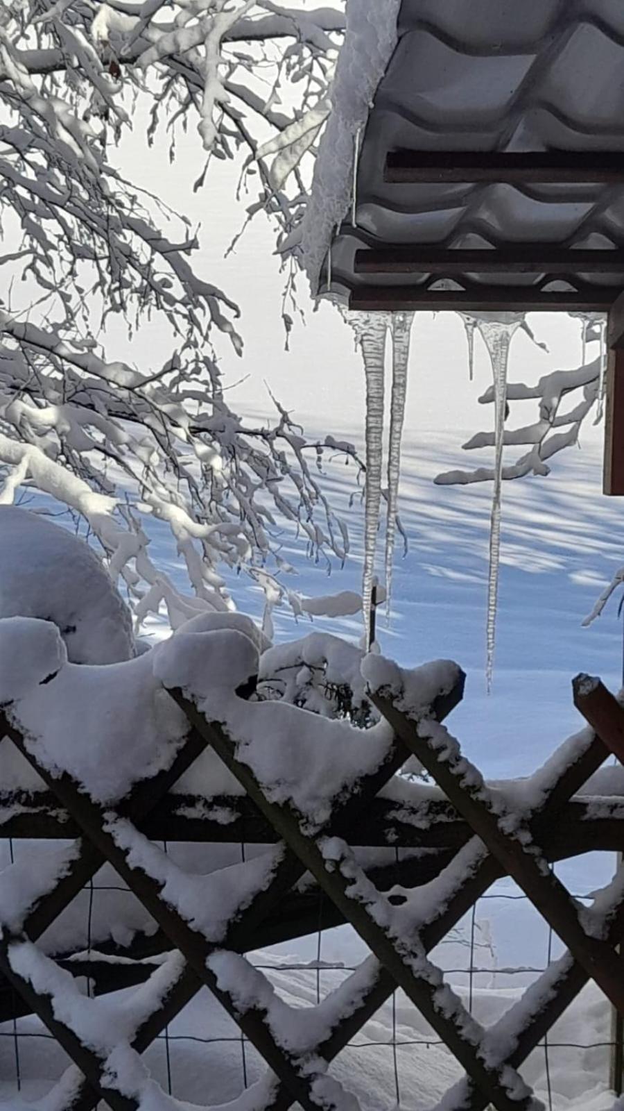 Haus Am Bach In Toggenburg *