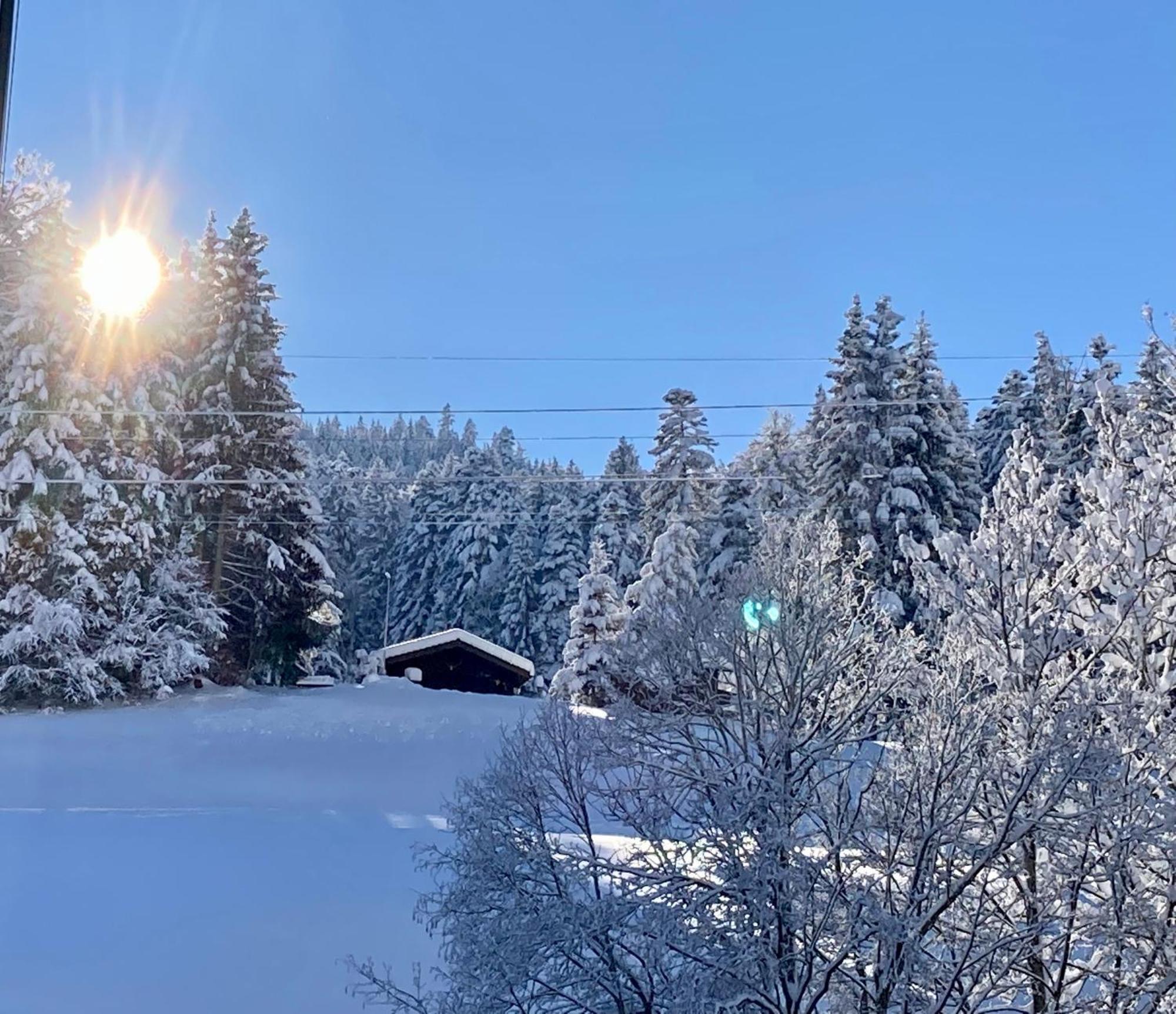 Haus Am Bach In Toggenburg