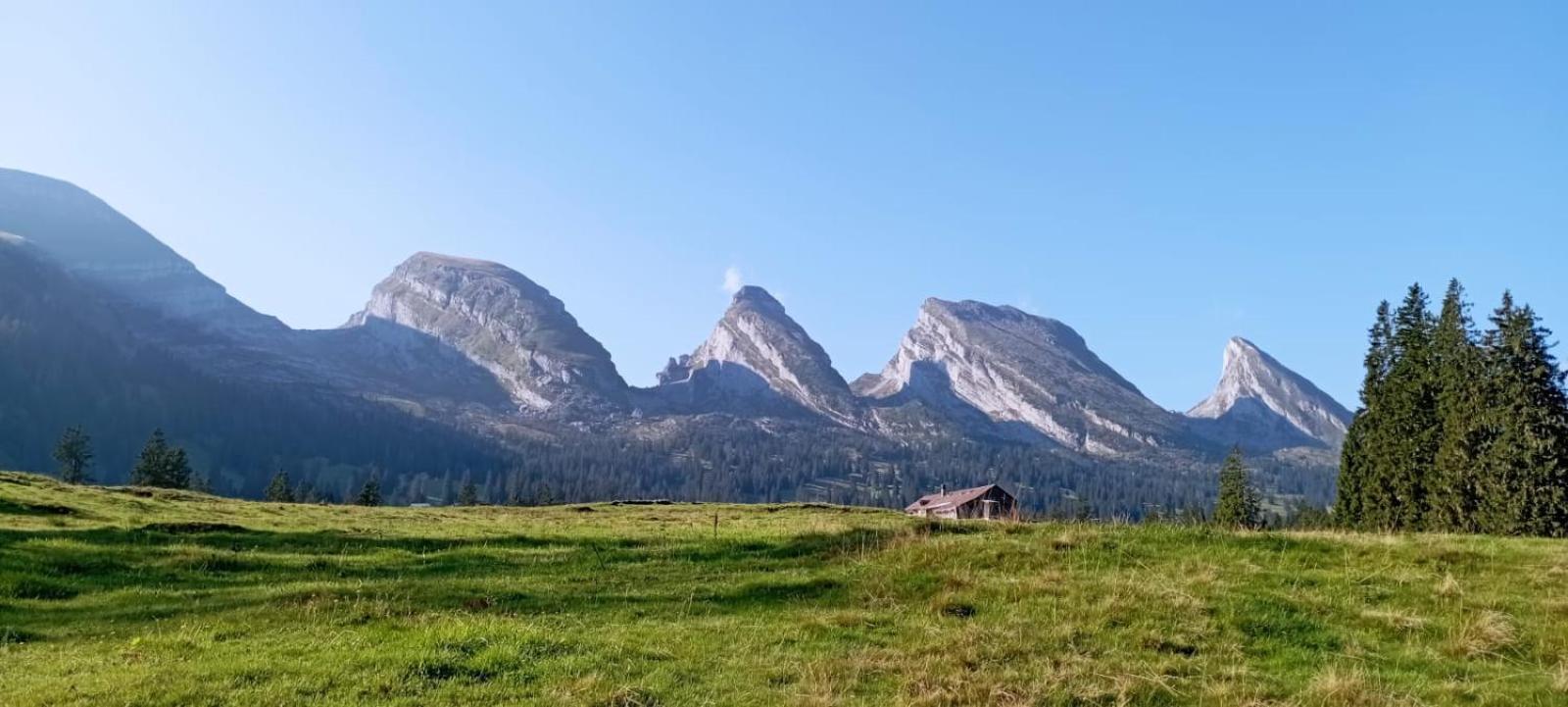 Haus Am Bach In Toggenburg अपार्टमेंट Wildhaus
