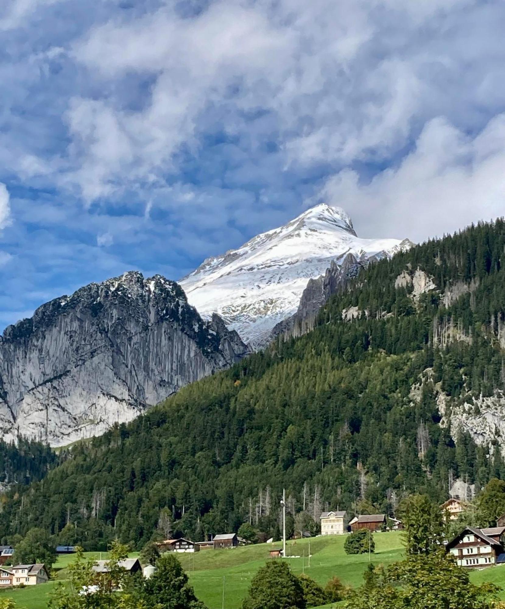 अपार्टमेंट Haus Am Bach In Toggenburg Wildhaus
